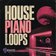 House Piano Loops_Catalyst Samples_124bpm_Keys_Loop_C#_Piano_117
