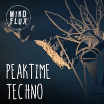 Peak Time Techno