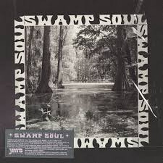 Swamp Soul Vol 1