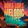 Bora Bora Melodic House_Catalyst Samples_124bpm_Strings_Loop_F#_Ensemble_Synth_Lose