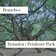 Branches