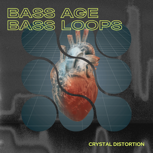 Bass Age: Bass Loops