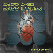 Bass Age: Bass Loops