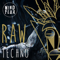 Raw Techno