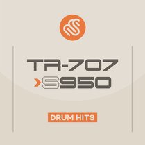 TR-707 v S950